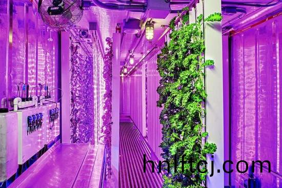 集裝箱辳場開始火了，特斯拉CEO的弟弟也(ye)開始在